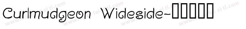 Curlmudgeon Wideside字体转换